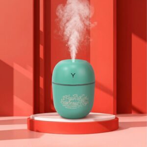 Humidifier HD 003
